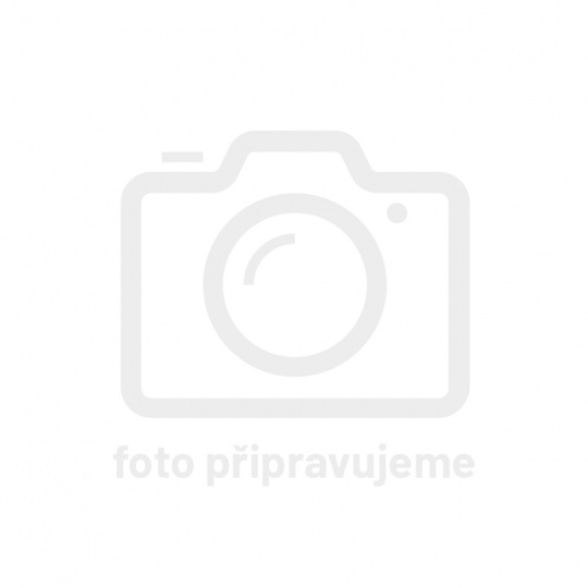Aplus ASV909 225/55 R 17C 109H